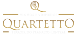 Quartetto Vinhos e Vinhedos